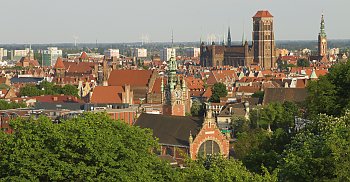 Marienkirche und Rathaus